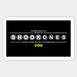 Shook Ones Magnet